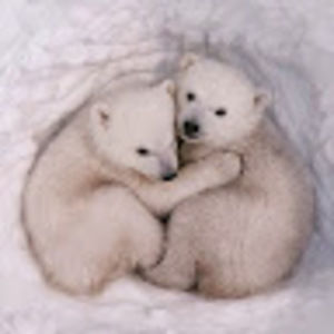 Meet your Posher, Alanna